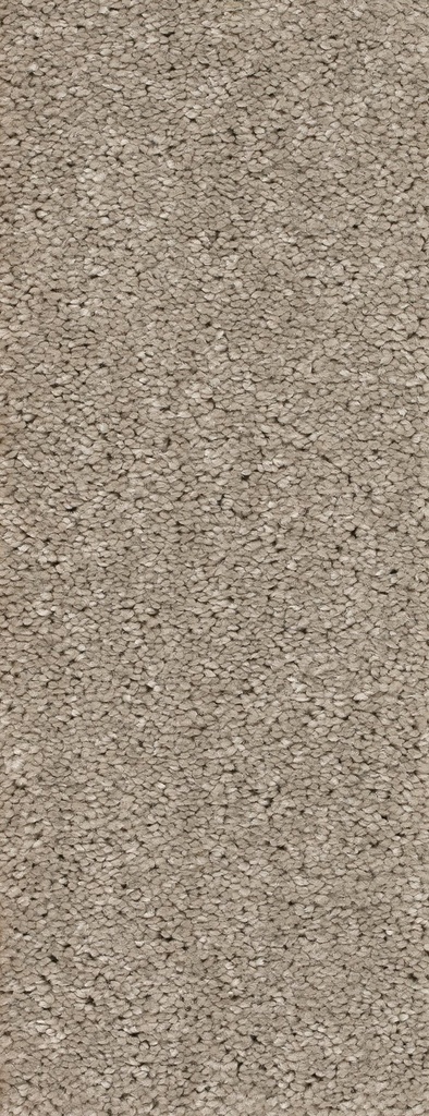 Homeline 26 Tapijt Panama 400 cm Kleur 74