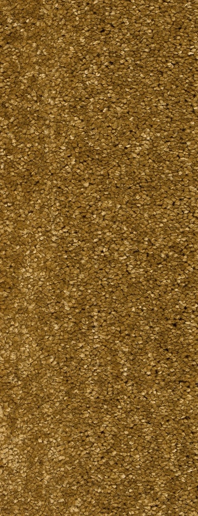Homeline 26 Tapijt Panama 500 cm Kleur 50