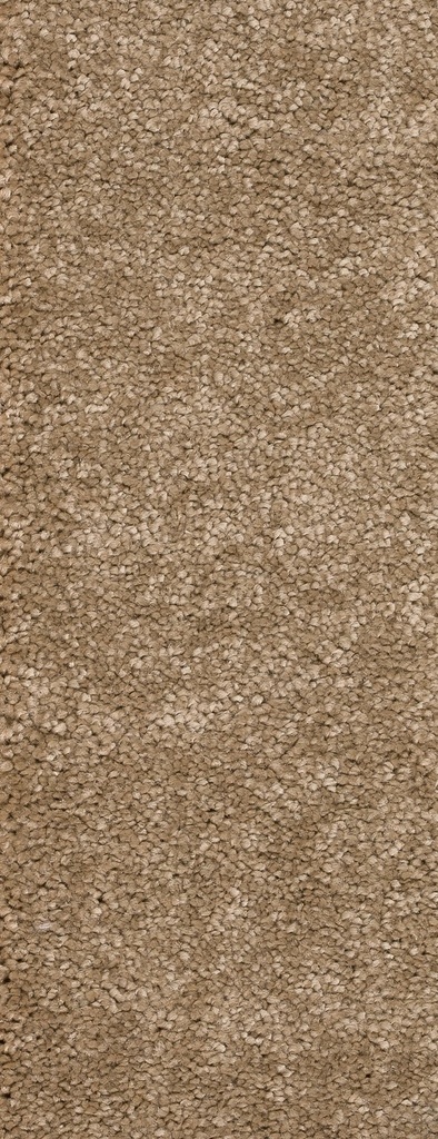 Homeline 26 Tapijt Panama 500 cm Kleur 72