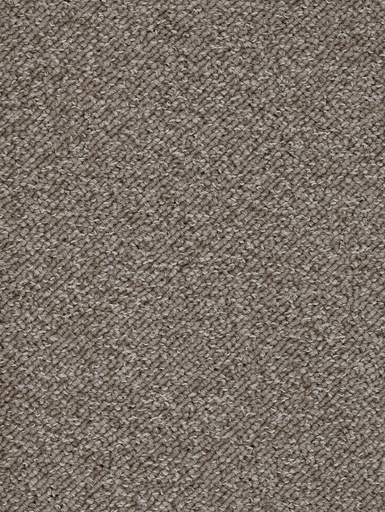 [TEPPEPIN4_079] Homeline 26 Tapijt Pepin 400 cm Kleur 79