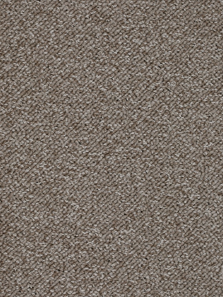 Homeline 26 Tapijt Pepin 500 cm Kleur 79