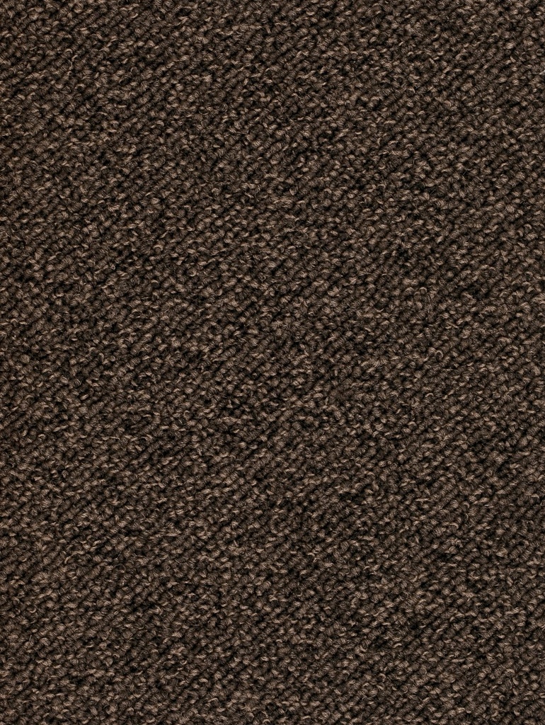 Homeline 26 Tapijt Pepin 500 cm Kleur 96