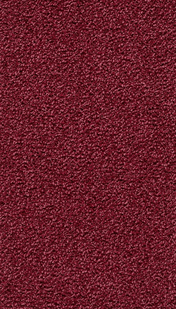 Homeline 26 Tapijt Ravel 400 cm Kleur 20