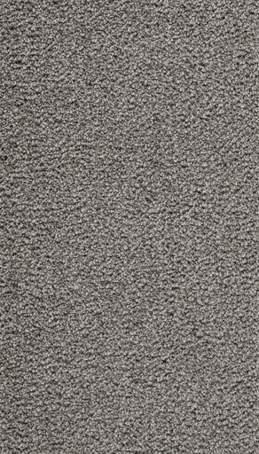 [TEPRAVEL04_274] Homeline 26 Tapijt Ravel 400 cm Kleur 274 N.M.L.