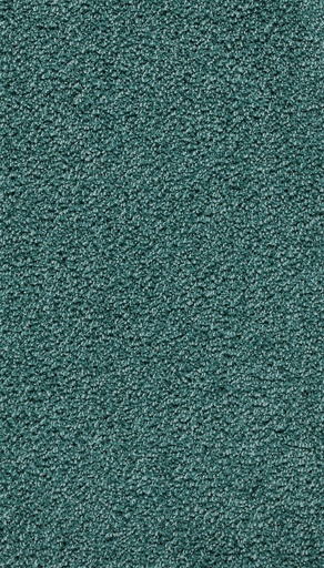 [TEPRAVEL04_081] Homeline 26 Tapijt Ravel 400 cm Kleur 81