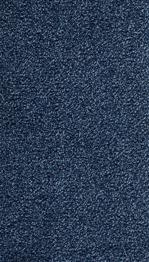 [TEPRAVEL05_182] Homeline 26 Tapijt Ravel 500 cm Kleur 182