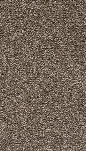 [TEPRAVEL05_090] Homeline 26 Tapijt Ravel 500 cm Kleur 90