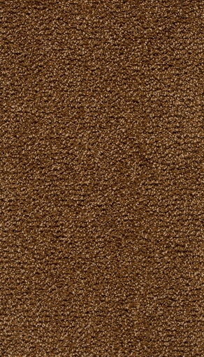 [TEPRAVEL05_094] Homeline 26 Tapijt Ravel 500 cm Kleur 94