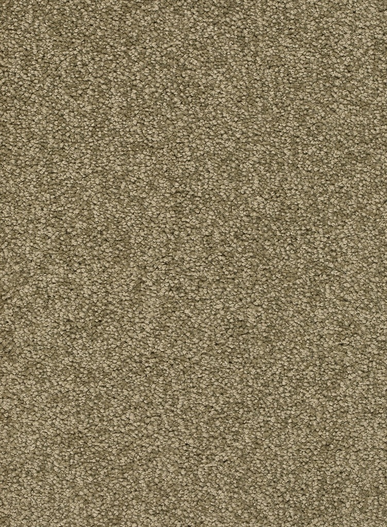 Homeline 26 Tapijt Rocky 400 cm Kleur 24
