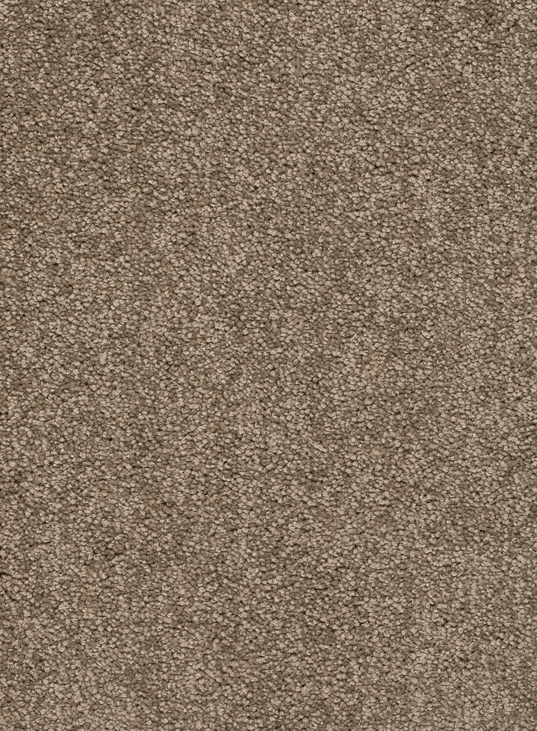 Homeline 26 Tapijt Rocky 500 cm Kleur 34