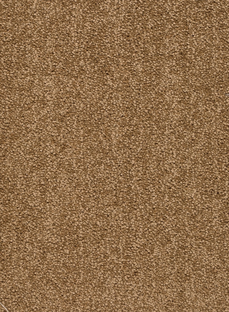 Homeline 26 Tapijt Rocky 500 cm Kleur 35