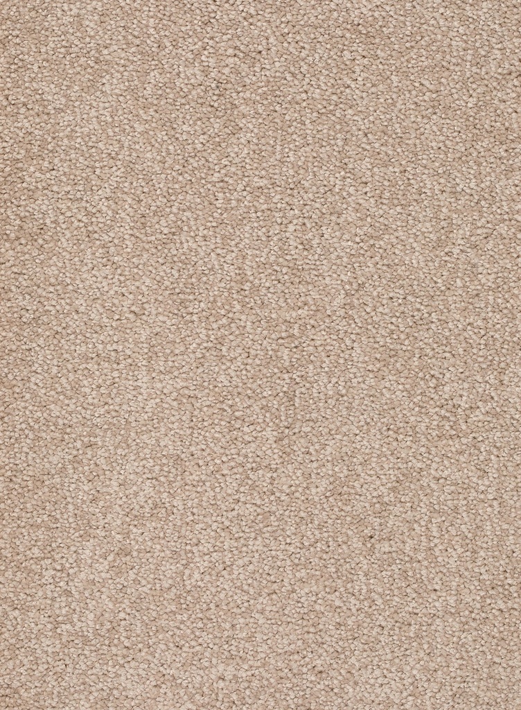 Homeline 26 Tapijt Rocky 500 cm Kleur 36