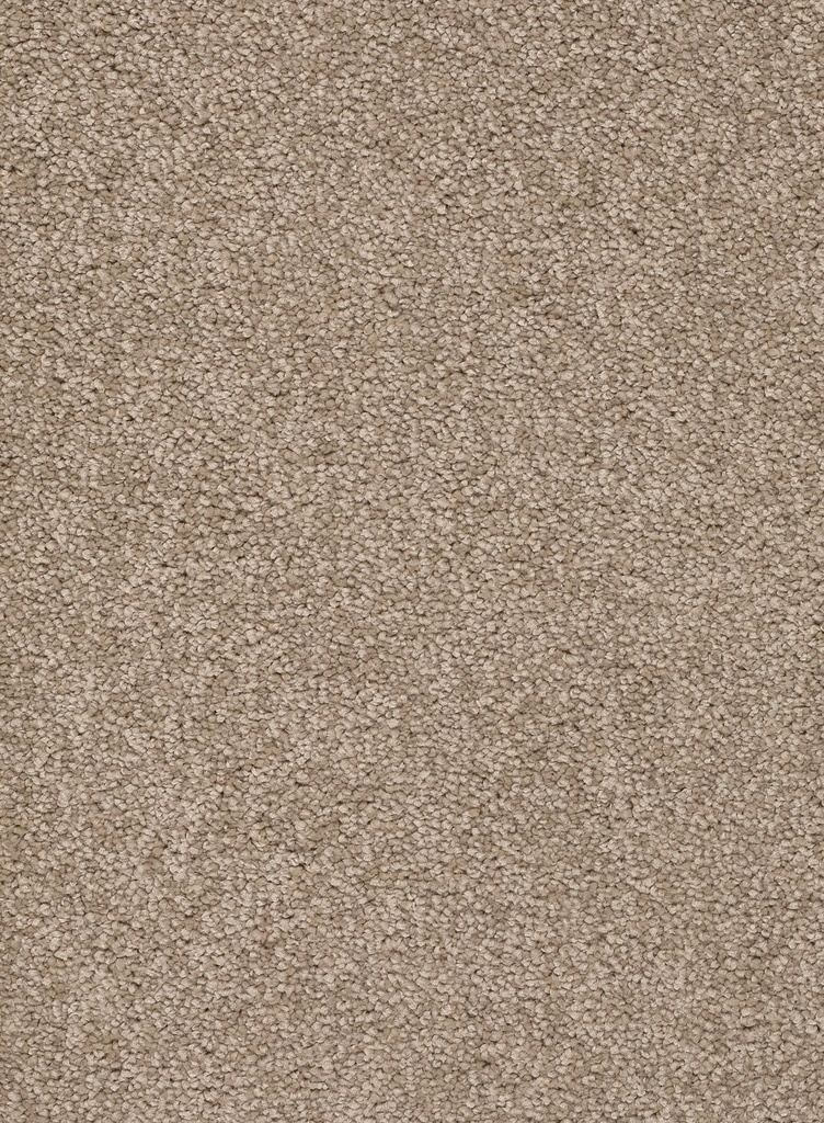 Homeline 26 Tapijt Rocky 500 cm Kleur 39