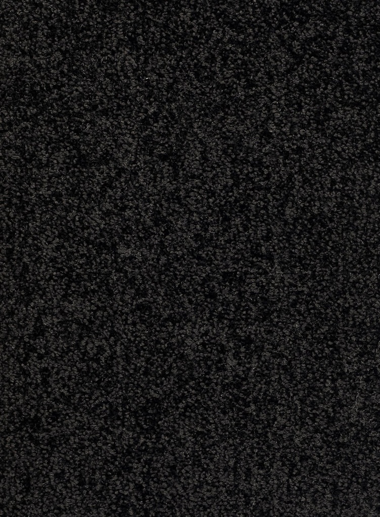 Homeline 26 Tapijt Rocky 500 cm Kleur 99