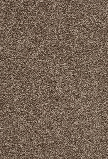 [TEPTENOR4_420] Homeline 26 Tapijt Tenor 400 cm Kleur 420
