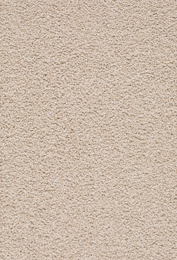 Homeline 26 Tapijt Tenor 500 cm Kleur 250