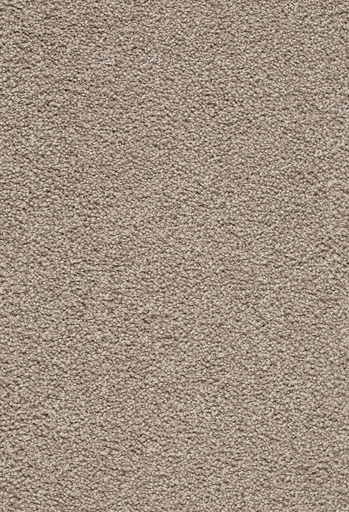 [TEPTENOR5_260] Homeline 26 Tapijt Tenor 500 cm Kleur 260