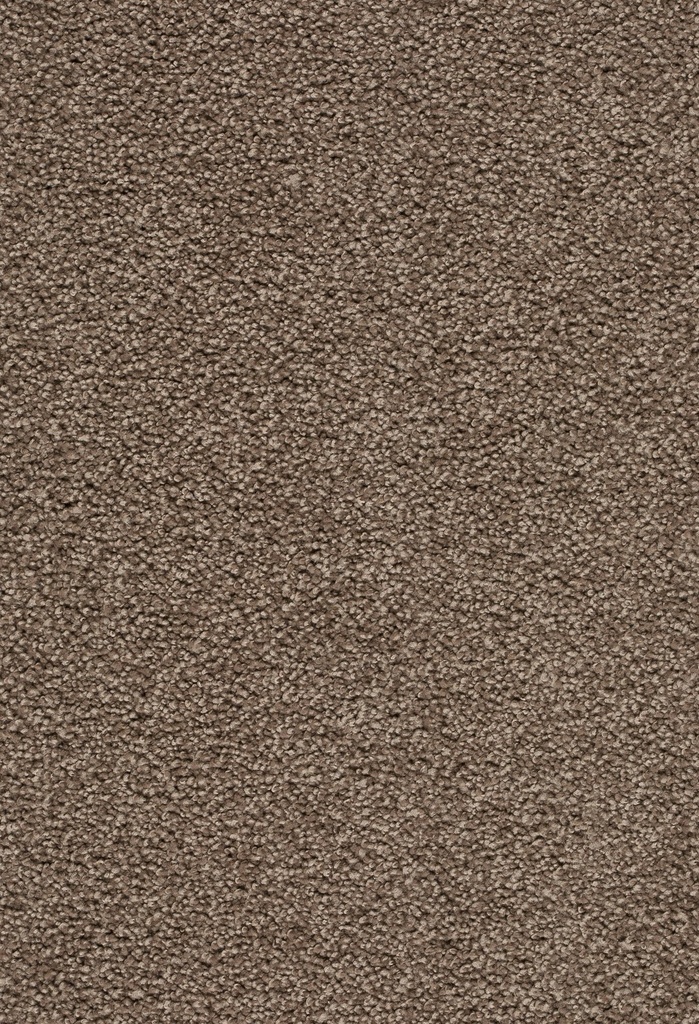 Homeline 26 Tapijt Tenor 500 cm Kleur 420