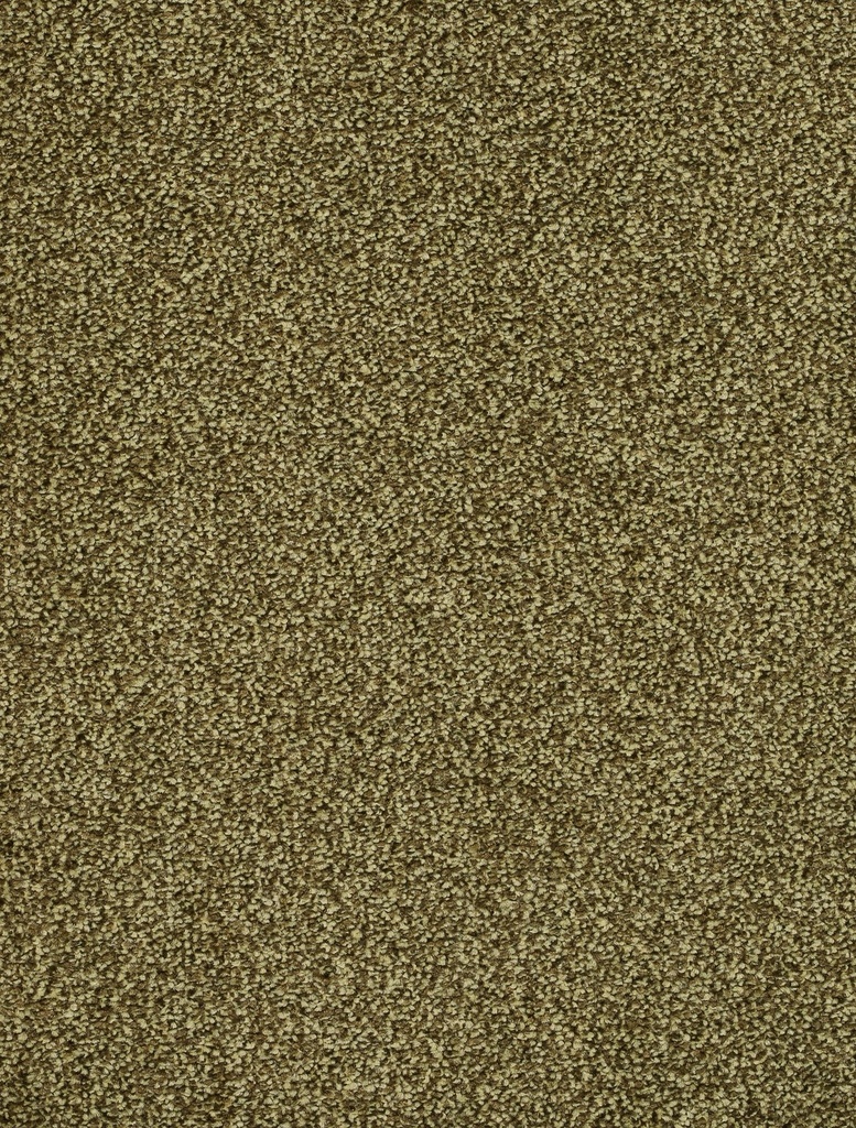 Homeline 26 Tapijt Vegas 400cm Kleur 24