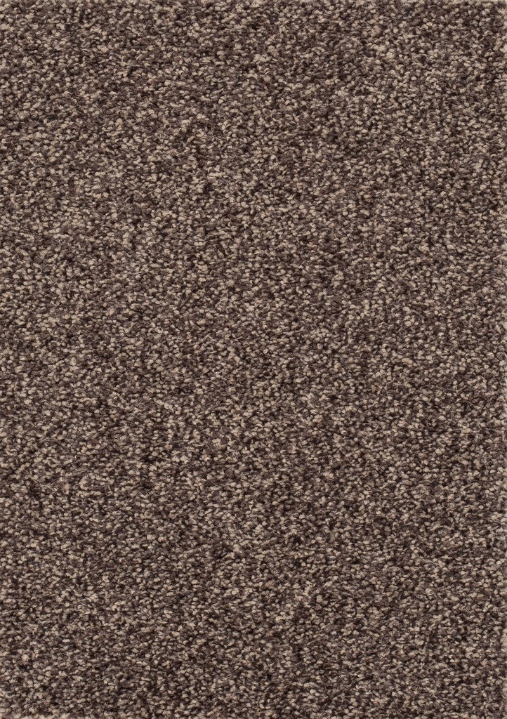 Homeline 26 Tapijt Vegas 400cm Kleur 49