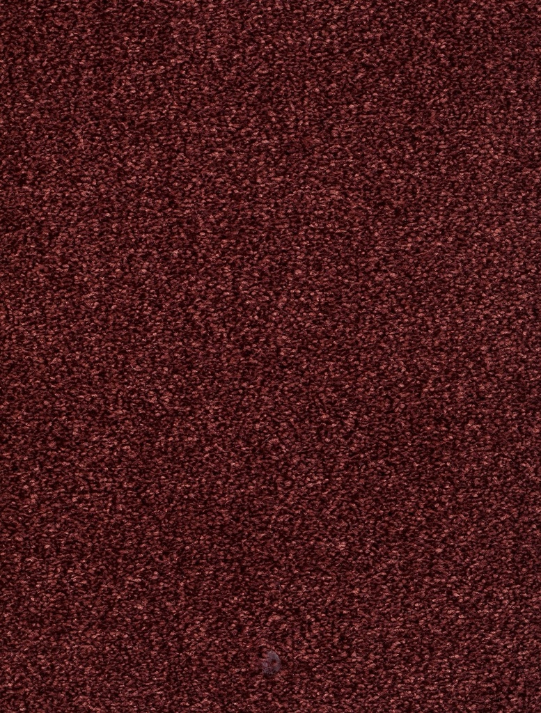 Homeline 26 Tapijt Vegas 400cm Kleur 66