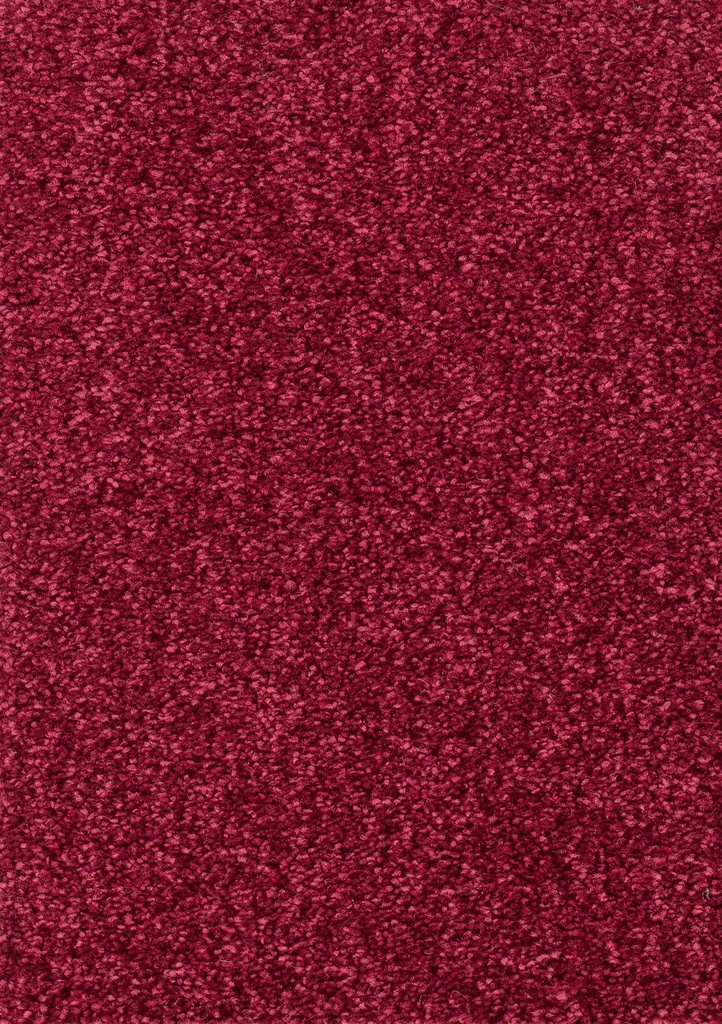 Homeline 26 Tapijt Vegas 500cm Kleur 15