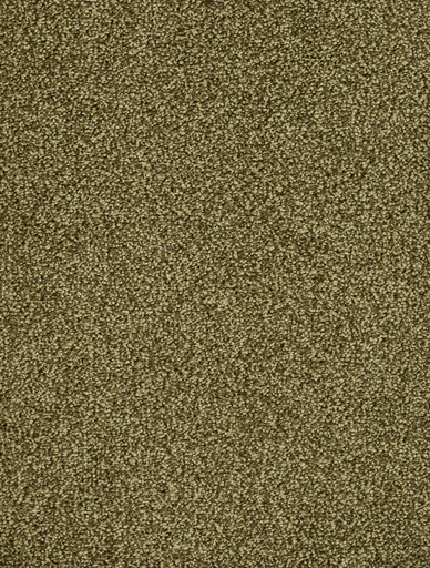 [TEPVEG05_024] Homeline 26 Tapijt Vegas 500cm Kleur 24