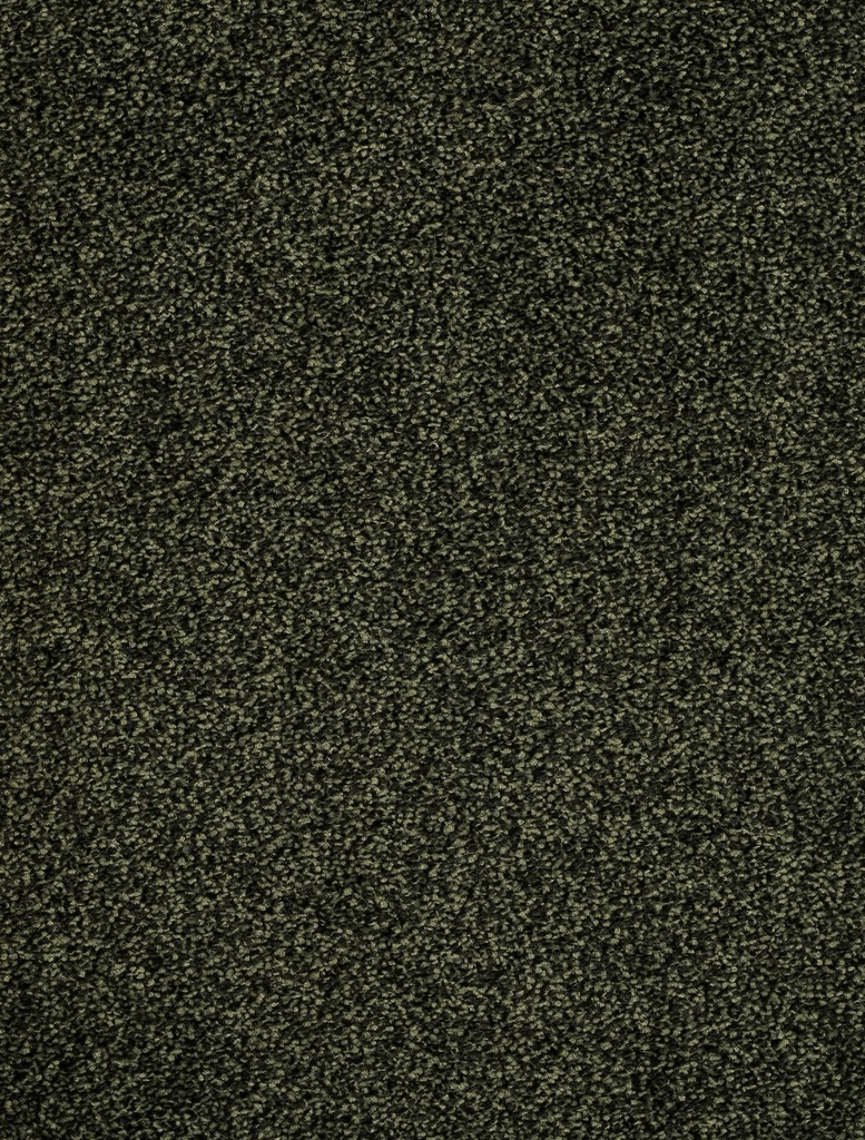 Homeline 26 Tapijt Vegas 500cm Kleur 28