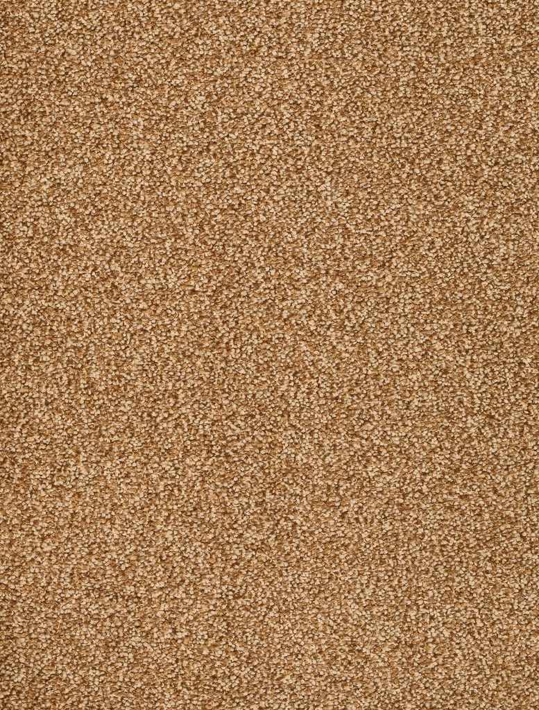 Homeline 26 Tapijt Vegas 500cm Kleur 36