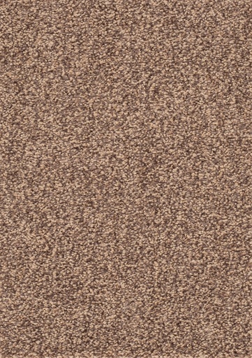 [TEPVEG05_043] Homeline 26 Tapijt Vegas 500cm Kleur 43