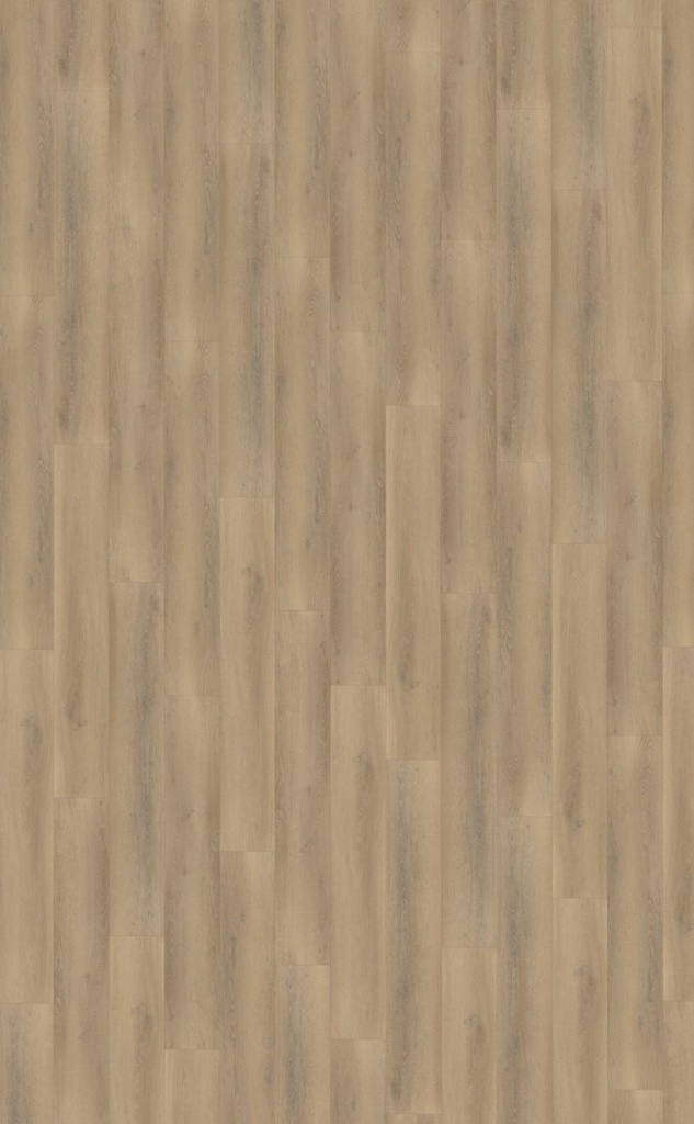 Belakos Palazzo 760 | Rigid Click