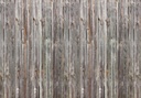JOKA Fotobehang P141 400 cm br x 267 cm hg 200 grams vlies