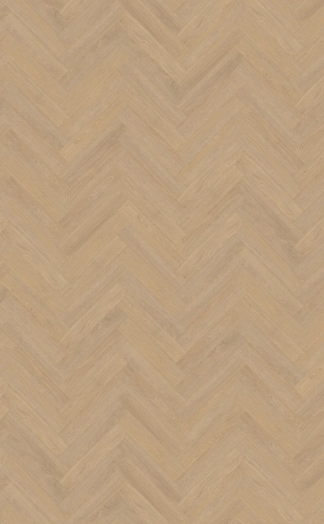 Terreno visgraat XL 61