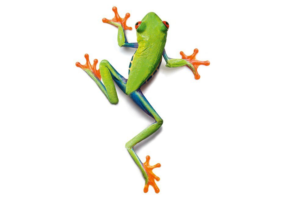 JOKA Fotobehang P188 400 cm br x 267 cm hg 200 grams vlies