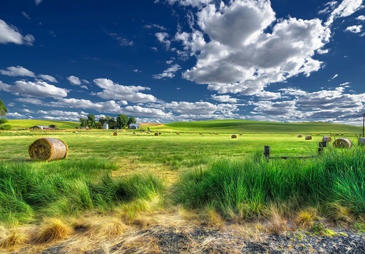 [TAPP200_P236] JOKA Fotobehang P236 400 cm br x 267 cm hg 200 grams vlies