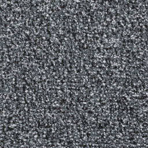 [TEPFAVO60_01] JOKA Intro 030 Object Schoonloop Favorit pasmat 60x90 cm 33.01 antraciet