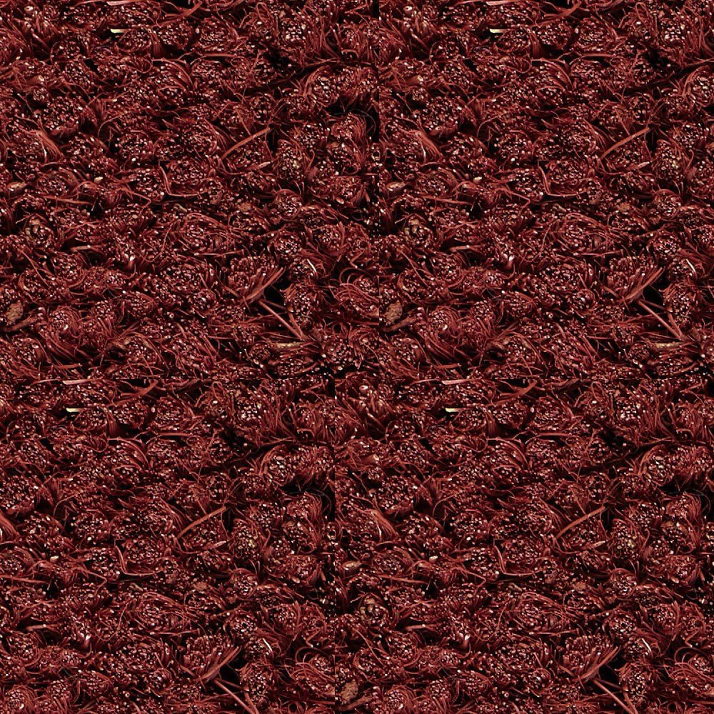 JOKA Intro 030 Object Schoonloop Kokos 20-24mm z. rand 200cm 020 rood