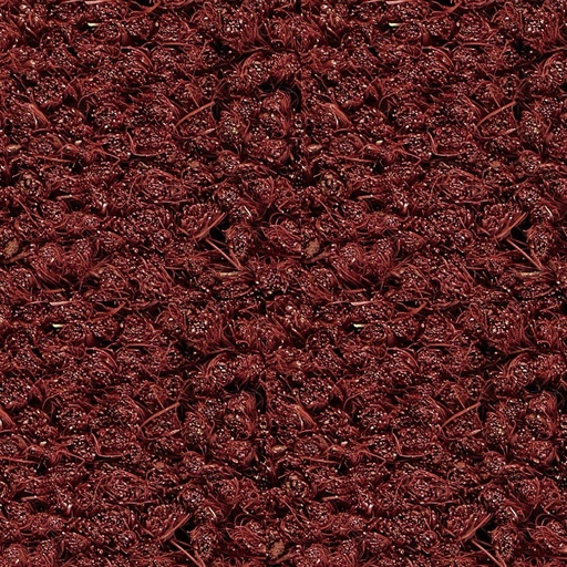[TETKOKO26_020] JOKA Intro 030 Object Schoonloop Kokos 20-24mm z. rand 200cm 020 rood