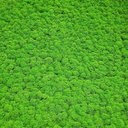 JOKA PARO Akustik PAM001 600x600 Tegel Appelgroen | Pak à 0,36m²