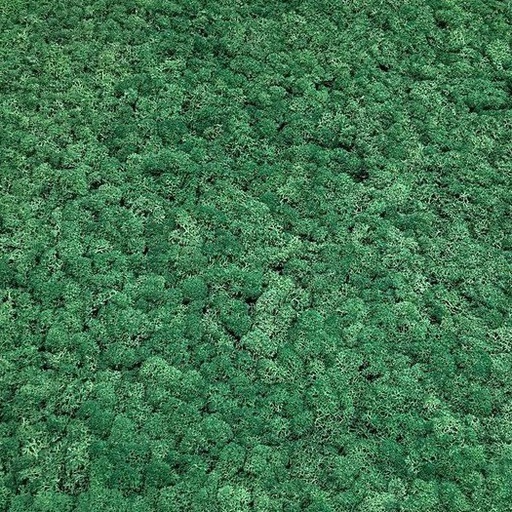 [AUSPAN1866_MOGR] JOKA PARO Akustik PAM002 600x600 Tegel Mosgroen | Pak à 0,36m²