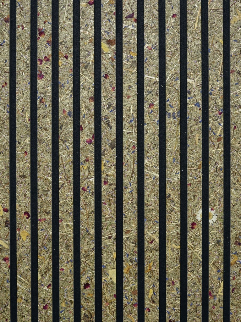 JOKA PARO Akustik PAO3011 Alpenweide 2790x600mm zwart vlies| Pak à 3,35m²