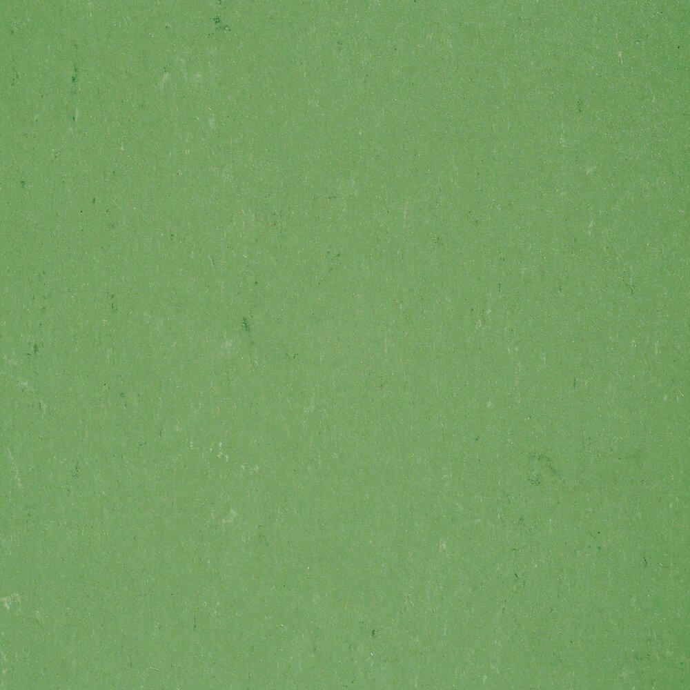 Jokaleum Color Neocare 2,5mm KL. 4306 x 200