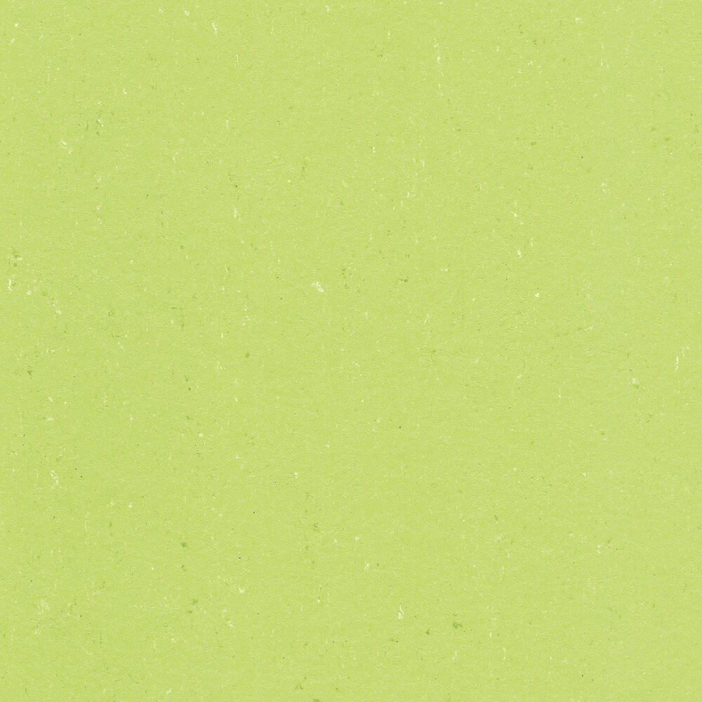 Jokaleum Color Neocare 2,5mm KL. 4332 x 200