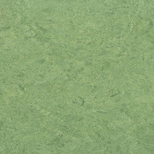 [PVCJOKANEO_4200] Linoleum Jokaleum Neocare 2,5mm Kl. 4200 x 200
