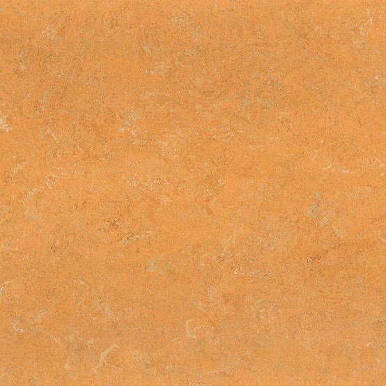 Linoleum Jokaleum Neocare 2,5mm Kl. 4273 x 200
