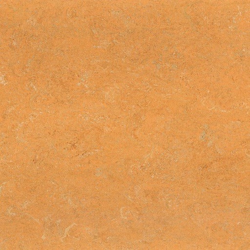 [PVCJOKANEO_4273] Linoleum Jokaleum Neocare 2,5mm Kl. 4273 x 200