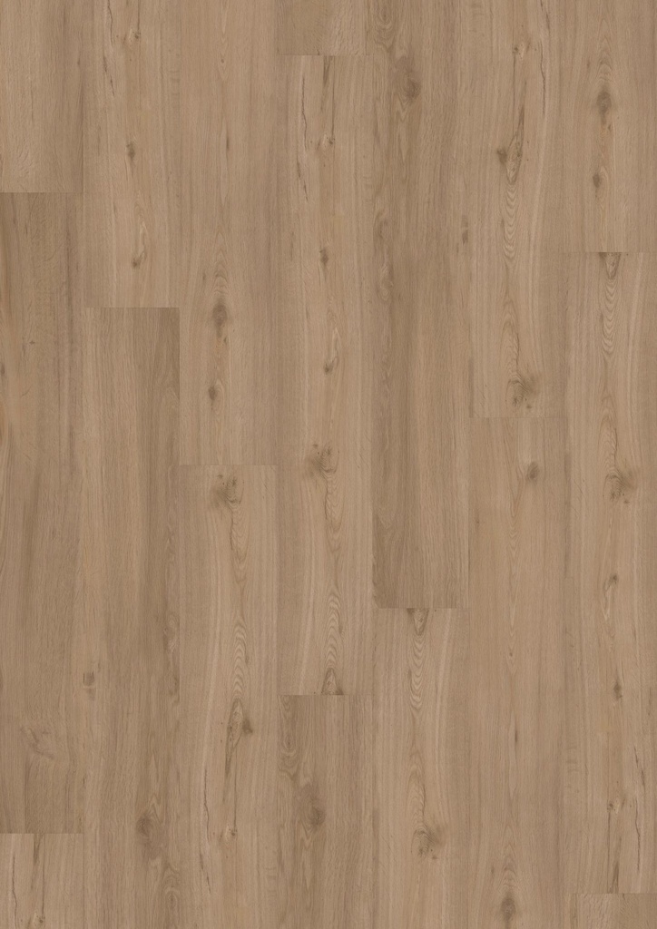 LVT Design 555 DB 5509 Spring Oak EIR 1219x184x2,5mm | Pak à 3,37m2