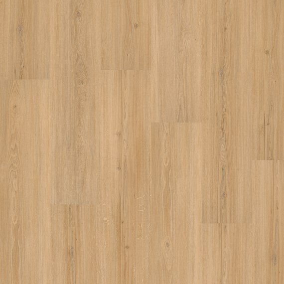 LVT Homeline 55 DB 2,5mm/NS 0,55mm 55-15 Risseiche 22,86x121,92 | Pak à 3,34m²