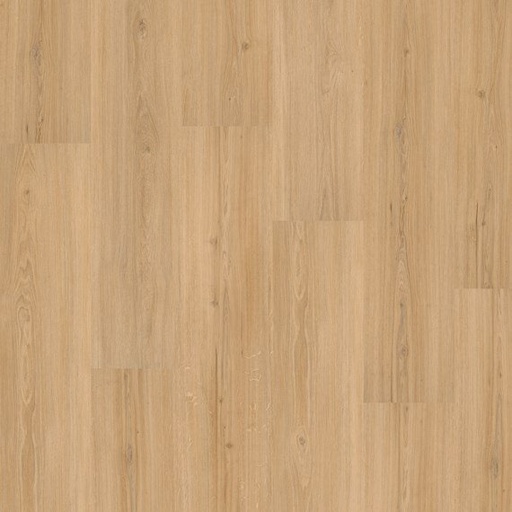 [PVCHOME55_5515] LVT Homeline 55 DB 2,5mm/NS 0,55mm 55-15 Risseiche 22,86x121,92 | Pak à 3,34m²