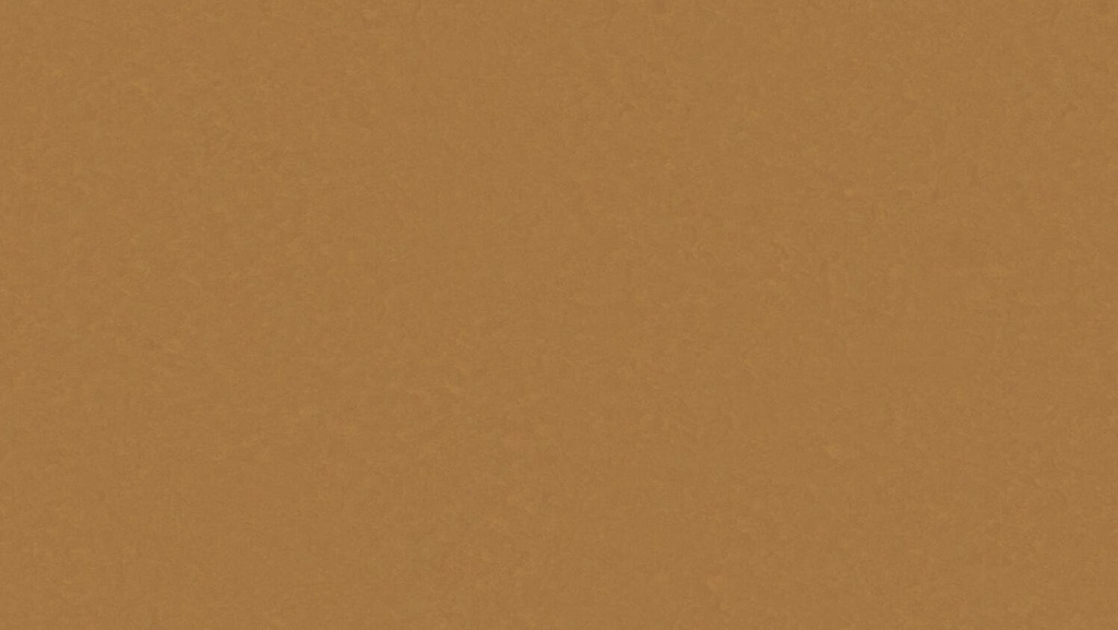 PVC Linosom 2,5mm 3101 200cm
